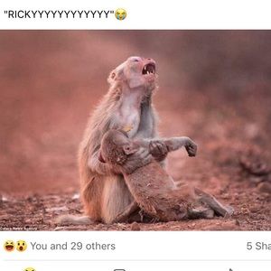 Meet your Posher, Ricky